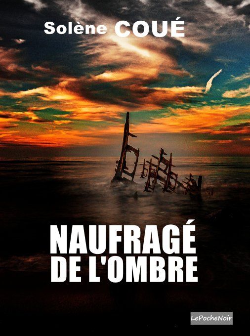 Naufragé de l'ombre ( collection LePocheNoir)